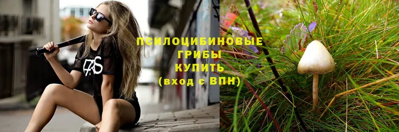 Псилоцибиновые грибы мухоморы  купить закладку  Шелехов 